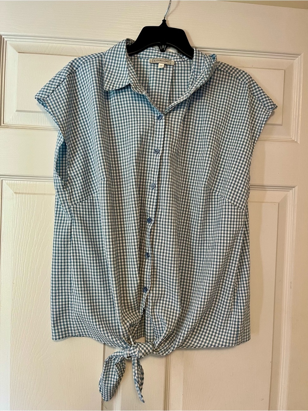 Button-Front Tie-Hem Gingham Shirt - Blue